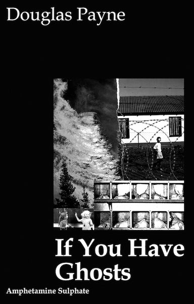 Douglas Payne 'If You Have Ghosts' Book
