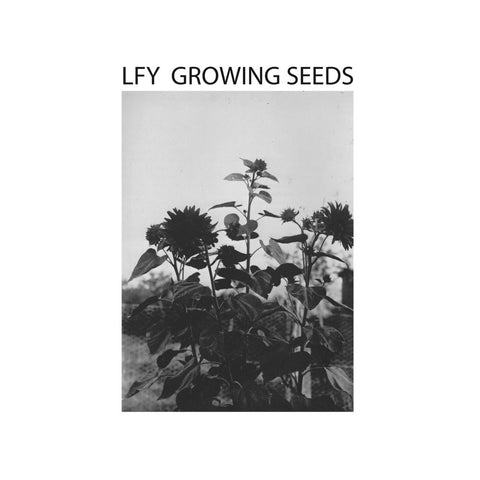 Lust For Youth 'Growing Seeds' - Cargo Records UK