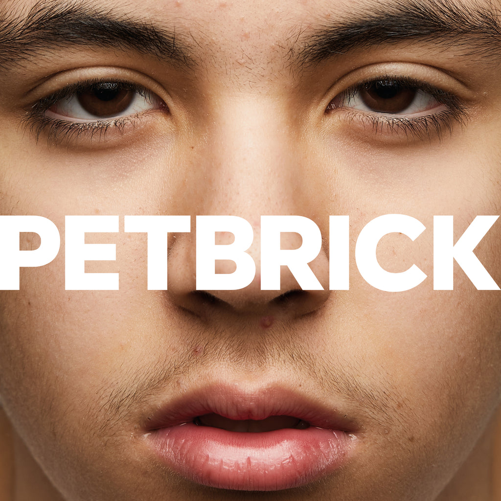 Petbrick 'I'