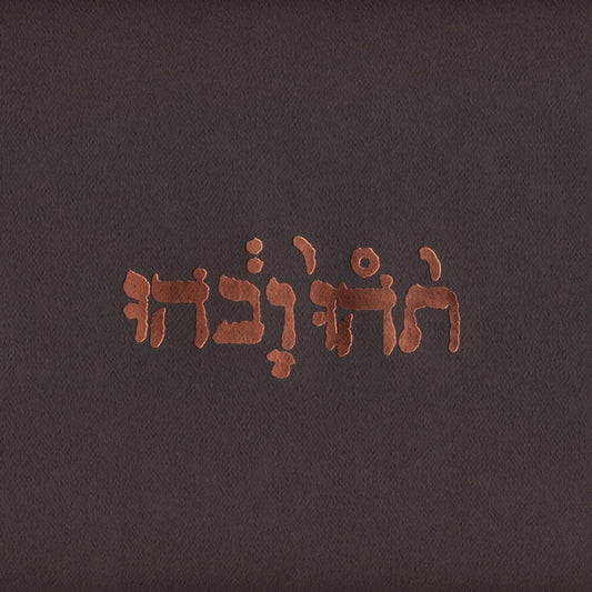 Godspeed You! Black Emperor 'Slow Riot For New Zero Kanada E.P.' - Cargo Records UK