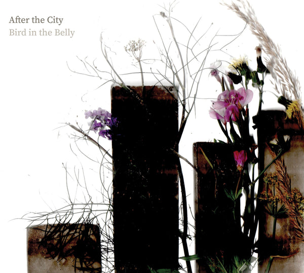 Bird In The Belly 'After The City' CD