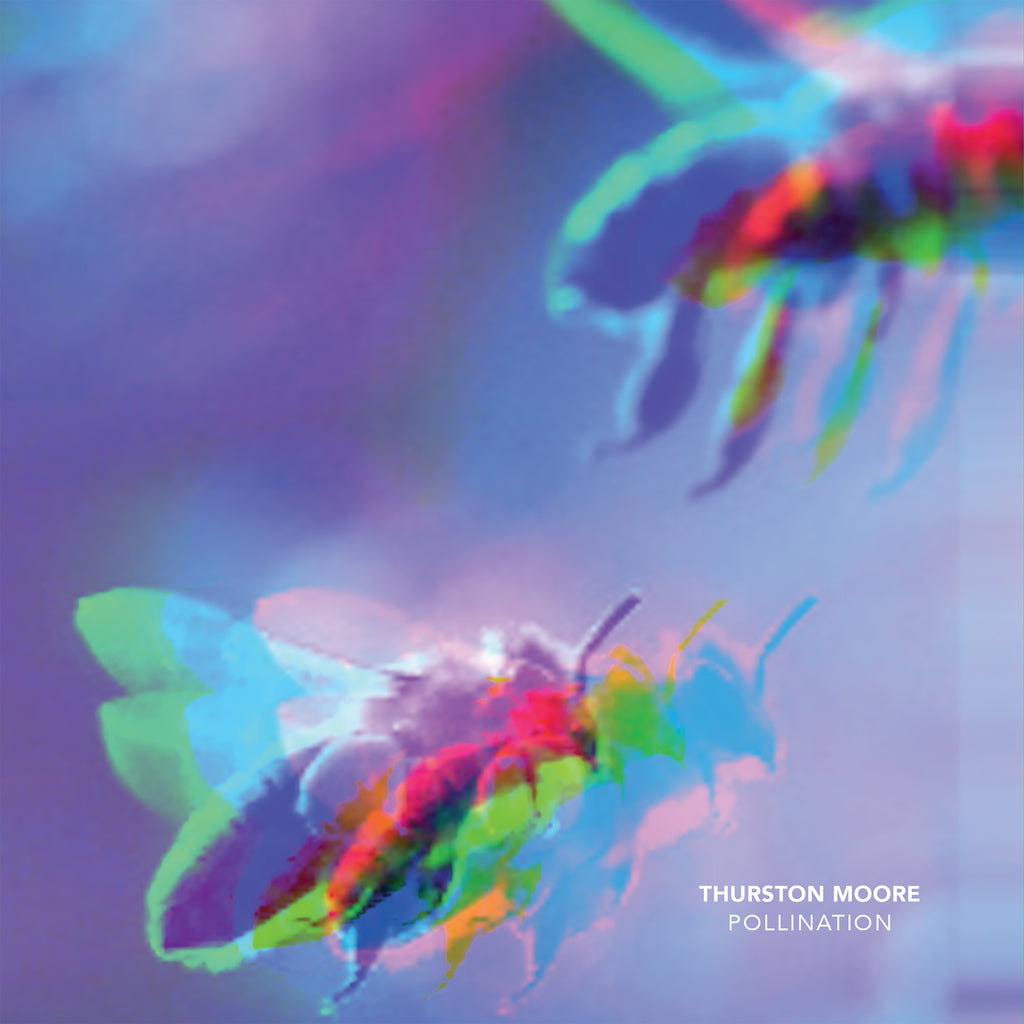 Thurston Moore 'Pollination/Leave Me Alone' Vinyl 7